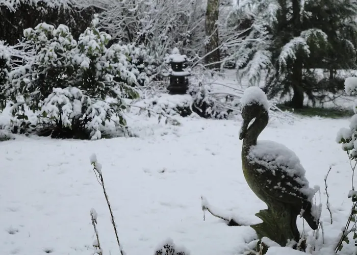 Relax A Maison Sax Kingsize Durbuy